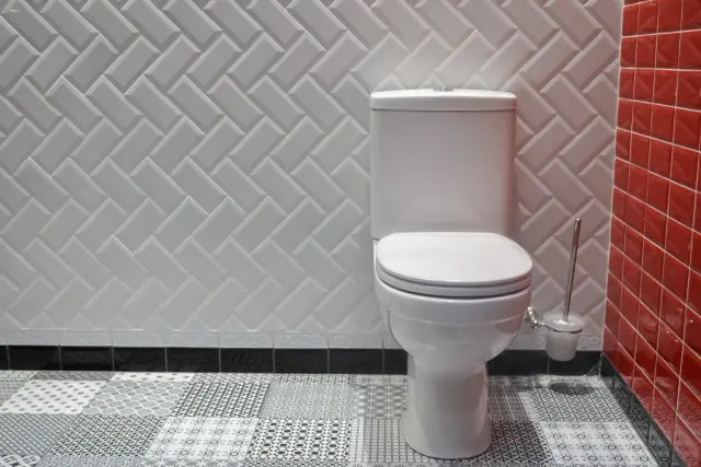 Toilet-Repair--in-Cincinnati-Ohio-Toilet-Repair-6002598-image