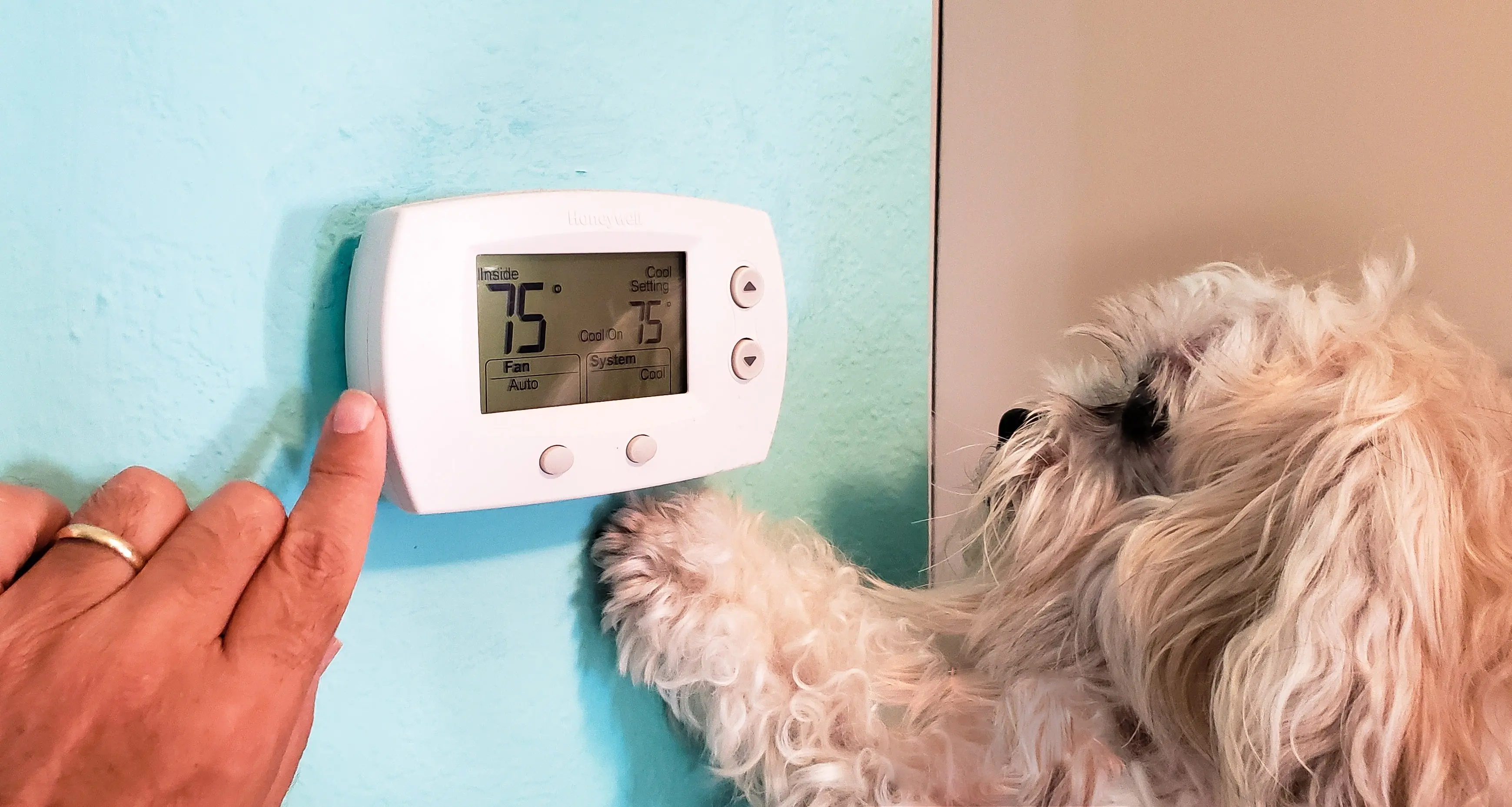 Heating-System-Maintenance--in-Aurora-Colorado-Heating-System-Maintenance-5994268-image